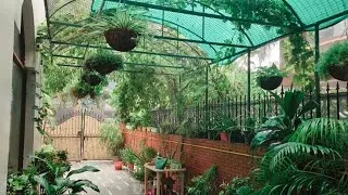 Thumbnail: CARE-TIPS And BENEFITS OF MONSOON GARDENING.