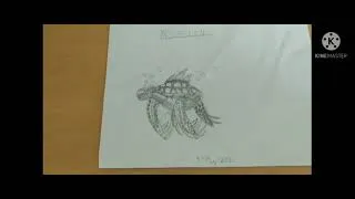 Thumbnail: drawings I had done before...