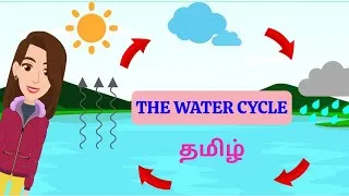 Thumbnail: The Water cycle for Kids / Tamil / Science Educational videos for Kids Tamil