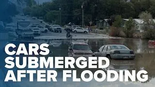 Thumbnail: FLOOD VIDEO: Orangeville flooding leaves streets, parks under water