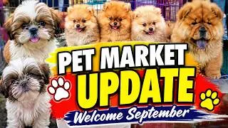 Thumbnail: KAMUSTA ANG PET MARKET NGAYONG PAGPASOK NG BER MONTHS?