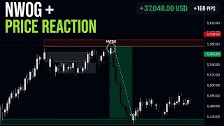 Thumbnail: NWOG + Price Reaction (Perfect Execution)