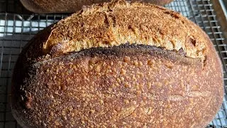 Thumbnail: How To Make 50% Whole Wheat Sourdough (Straightforward Method)