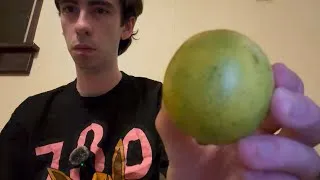 Thumbnail: The fly in my butt left this message