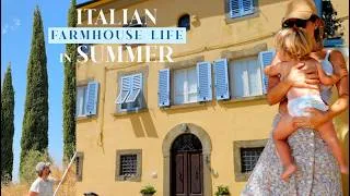 Thumbnail: RENOVATING A RUIN: Italian Heatwave, Cleaning, Picking Fruit, Cooking Delicious Cold Summer Meals