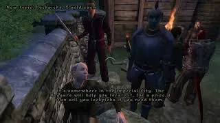 Thumbnail: Joining the Thieves Guild in the most normal way possible