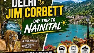Thumbnail: Delhi → Jim Corbett → Nainital for 2 night, Stay at Manu Maharani, Corbett Resort & Room tour