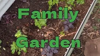 Thumbnail: Family Garden For 2026!