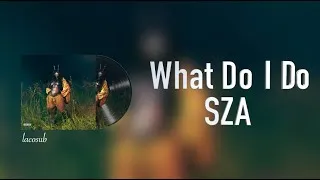 Thumbnail: [Vietsub+Lyrics] What Do I Do - SZA