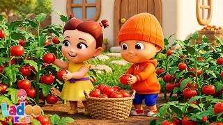 Thumbnail: Yeh Tamatar Bade Majedar, यह टमाटर बड़े मज़ेदार, Gaiya Meri Gaiya, Nursery Poems and Children Songs