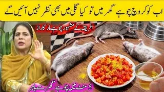 Thumbnail: Get rid of rats, Mosquito, cockroach, lizard with homemade spray|powerful insects killer remedy