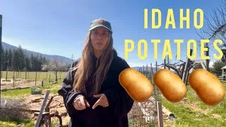 Thumbnail: Planting Potatoes in North Idaho 