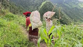 Thumbnail: mountain people life style || @villagefoodkitchen ||
