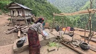 Thumbnail: organic life on the mountain || lajimbudha ||