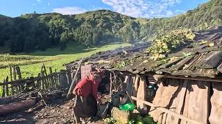 Thumbnail: happy life of himalayan herders || lajimbudha ||