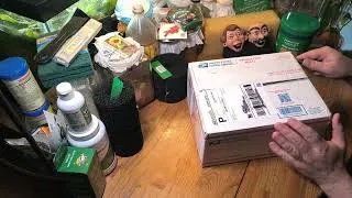 Thumbnail: Unboxing Medaka Rice Fish from Uncle Joe's Fish Shed!!!