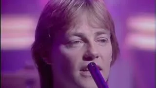Thumbnail: Snowy   White    --     Bird   Of   Paradise  Video  HQ