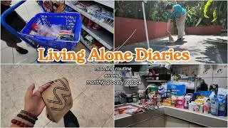 Thumbnail: Living Alone Diaries 🧺| morning routine, errands, monthly grocery restock