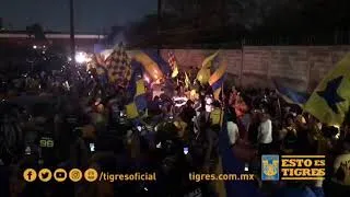 Thumbnail: ¡¡QUE BONITO ES SER DE TIGRES!!🐯🤩🐯