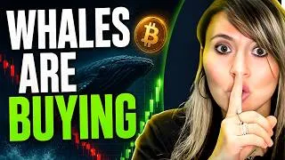 Thumbnail: Bitcoin Whales Just Bought $16.7 Billion (While Everyone Panics)