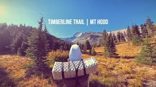 Thumbnail: Timberline Trail | Mt. Hood | Oregon Part 1