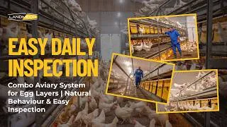 Thumbnail: Combo Aviary System for Egg Layers | Natural Behaviour & Easy Inspection