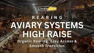 Thumbnail: LANDMECO High Raise Poultry Aviary System | Organic Rearing, Easy Access & Smooth Transition