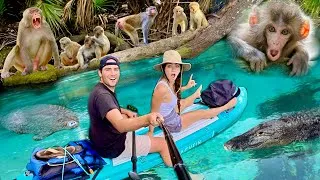 Thumbnail: WE FOUND WILD MONKEYS in FLORIDA ! MONKEYS, MANATEES, ALLIGATORS !!