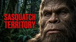 Thumbnail: MONSTER of the WOODS SASQUATCH TERRITORY  A Retrospective