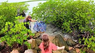 Thumbnail: LAND BASED CRABBING FOR MONSTER MUD CRABS!!
