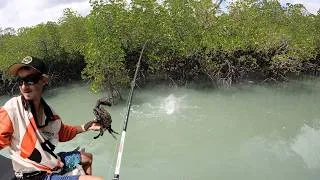 Thumbnail: Seafood Bag!   Fish  -  Mud Crab  -  Mud Mussel!!!