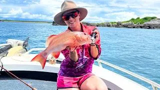 Thumbnail: SHOCKING CATCH!! Dropping for Finger Mark & Coral Trout- Remote Fishing!