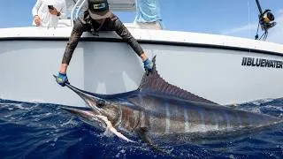 Thumbnail: BIG Marlin & Swordfish! Catch Clean Cook