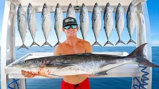 Thumbnail: MOST Expensive vs LEAST Expensive fish! Catch Clean Cook (Bonito)