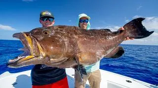 Thumbnail: MASSIVE Black Grouper & Snapper! Catch Clean Cook