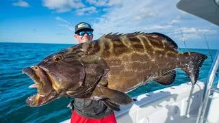 Thumbnail: GIANT Florida Keys Grouper! Catch Clean Cook (Black Grouper)