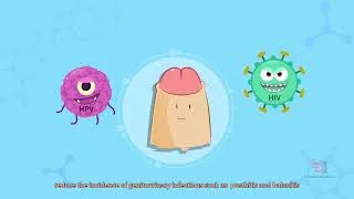 Thumbnail: Scientific understand the Male Circumcision