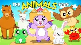 Thumbnail: The Animals Song! 🎵 (Dog vs. Cat, Crab vs. Cow, Owl vs. Monkey!) | LankyBox Music Video