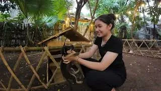 Thumbnail: Rural Life | Building a Dog House & Bringing Home a New Puppy