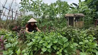 Thumbnail: Rural Life | From My Garden to My Kitchen
