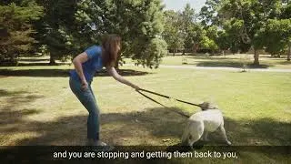 Thumbnail: How to stop a dog pulling on leash