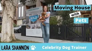 Thumbnail: Moving house with pets