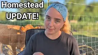 Thumbnail: We Have A NEW Cow On Our Homestead! (UPDATE!)
