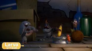 Thumbnail: Life of a Rat | Animation Compilation | Larva Tuba | Official