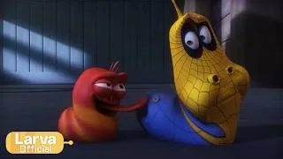Thumbnail: Spider Larva | Animation Compilation | Larva Tuba | Official