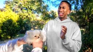 Thumbnail: I tried to face my FEAR of DOGS! Should I get a puppy?