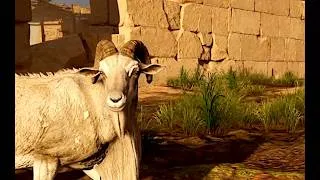 Thumbnail: atmospheric jungle trip to ancient egypt