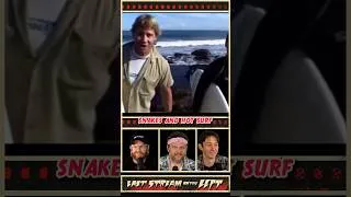 Thumbnail: Cowabunga!