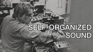 Thumbnail: Self-Organization in Circuits and Society
