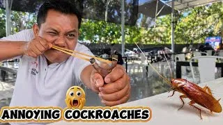 Thumbnail: Shooting Cockroaches With Rubber Bands | Back to Childhood